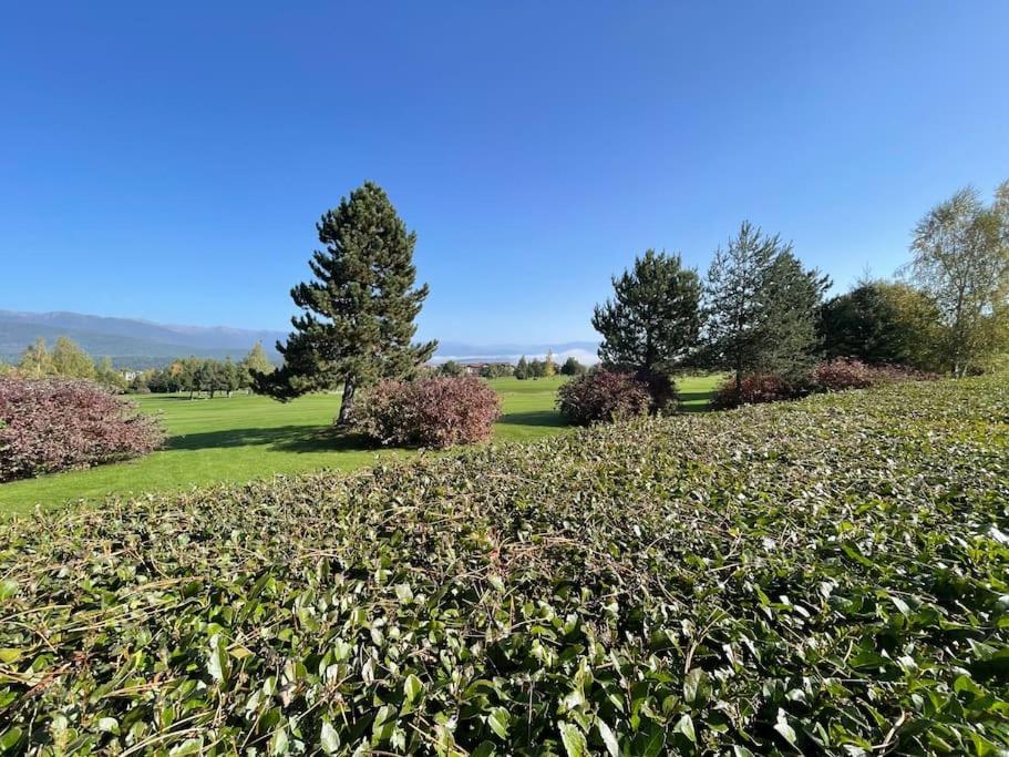 Pirin Golf Mountain View Retreat Apartment Razlog Luaran gambar